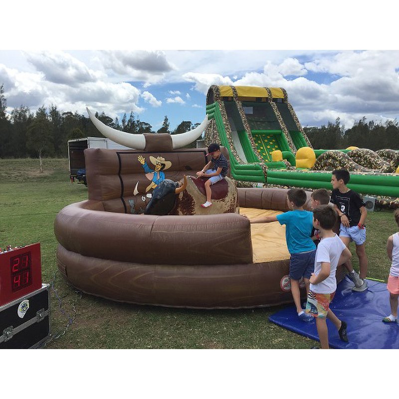 Party Inflatable Adult Games Shark/penis/ball/camel/horse/can Mechanical Bull Riding for Adults Outdoor