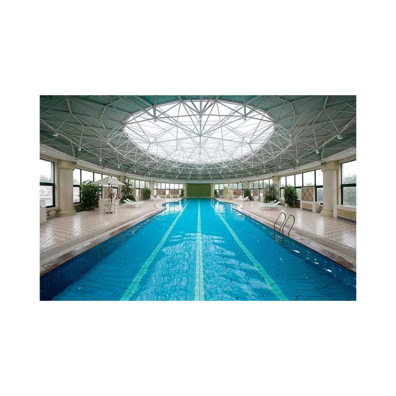 High Quality Modern Design Prefabricated Low-cost Steel Structure Indoor Swimming Pool Roof