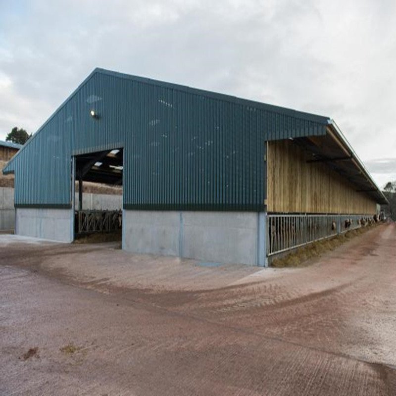 Steel Structure Design Livestock Farm Shed Goat /Cattle Farms Building
