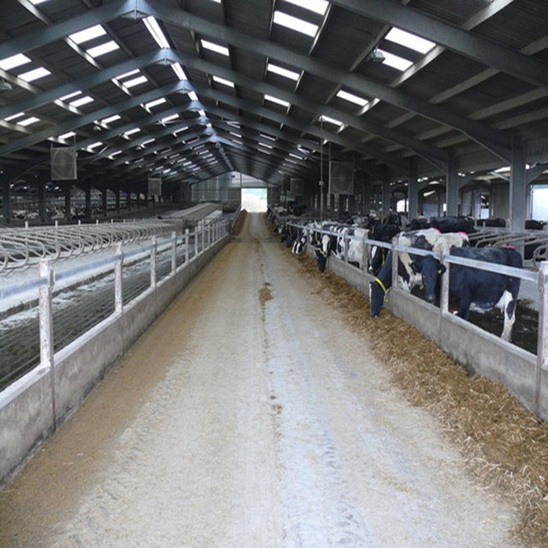 Steel Structure Design Livestock Farm Shed Goat /Cattle Farms Building