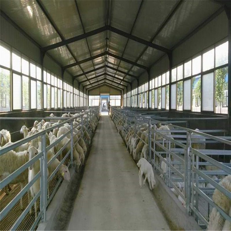 Steel Structure Design Livestock Farm Shed Goat /Cattle Farms Building