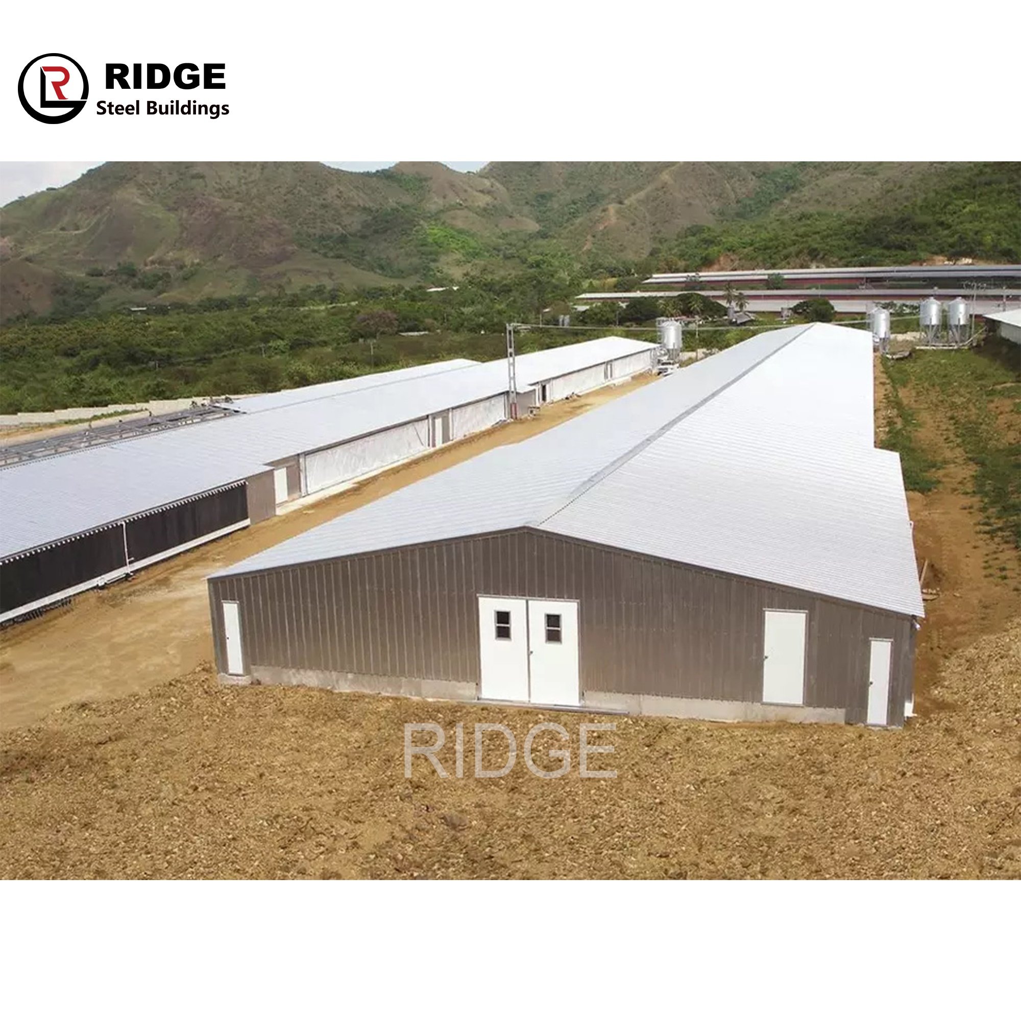 Modern Design Poultry Farm Building Prefabricated Houses Steel Structure Broiler Chicken Shed and House