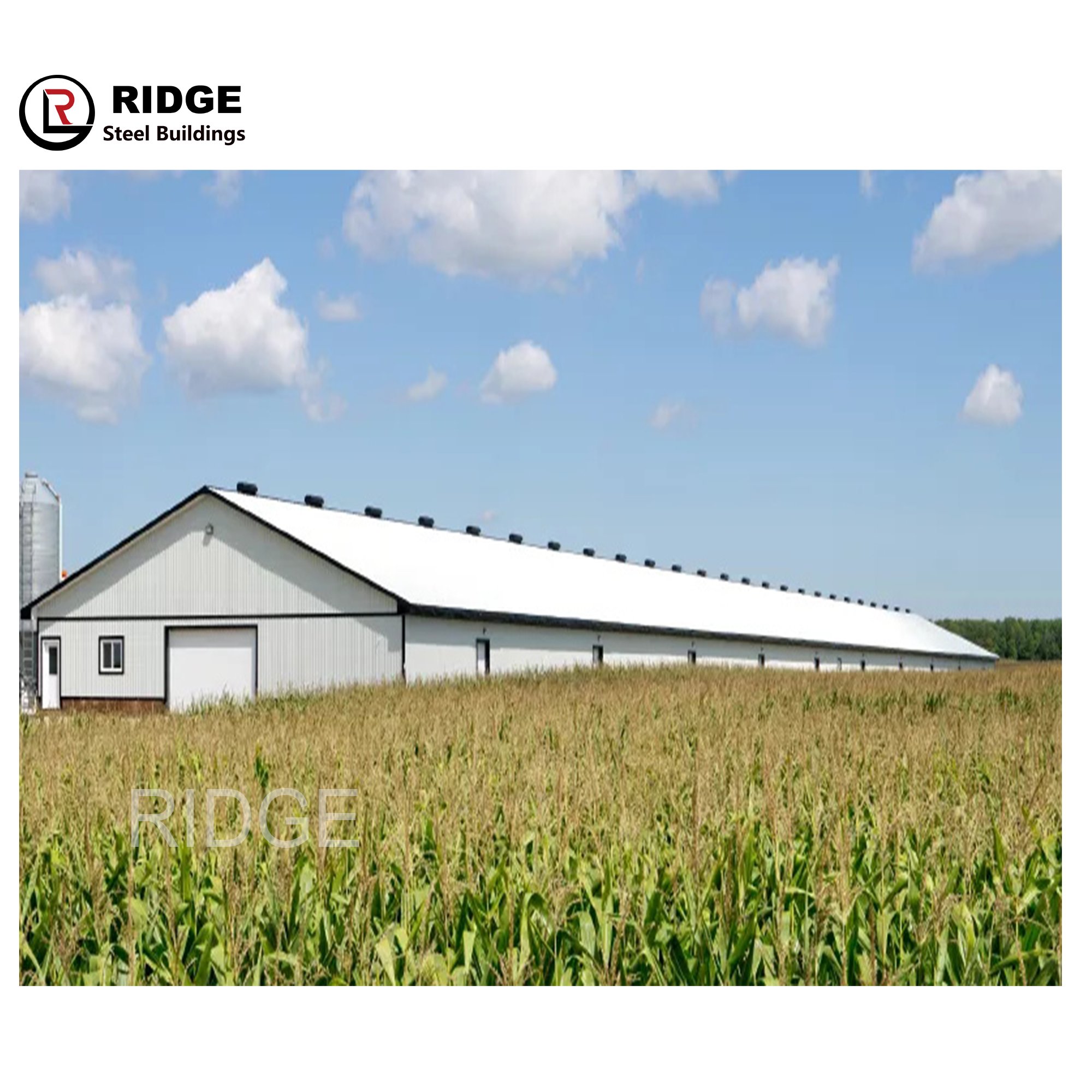 Modern Design Poultry Farm Building Prefabricated Houses Steel Structure Broiler Chicken Shed and House