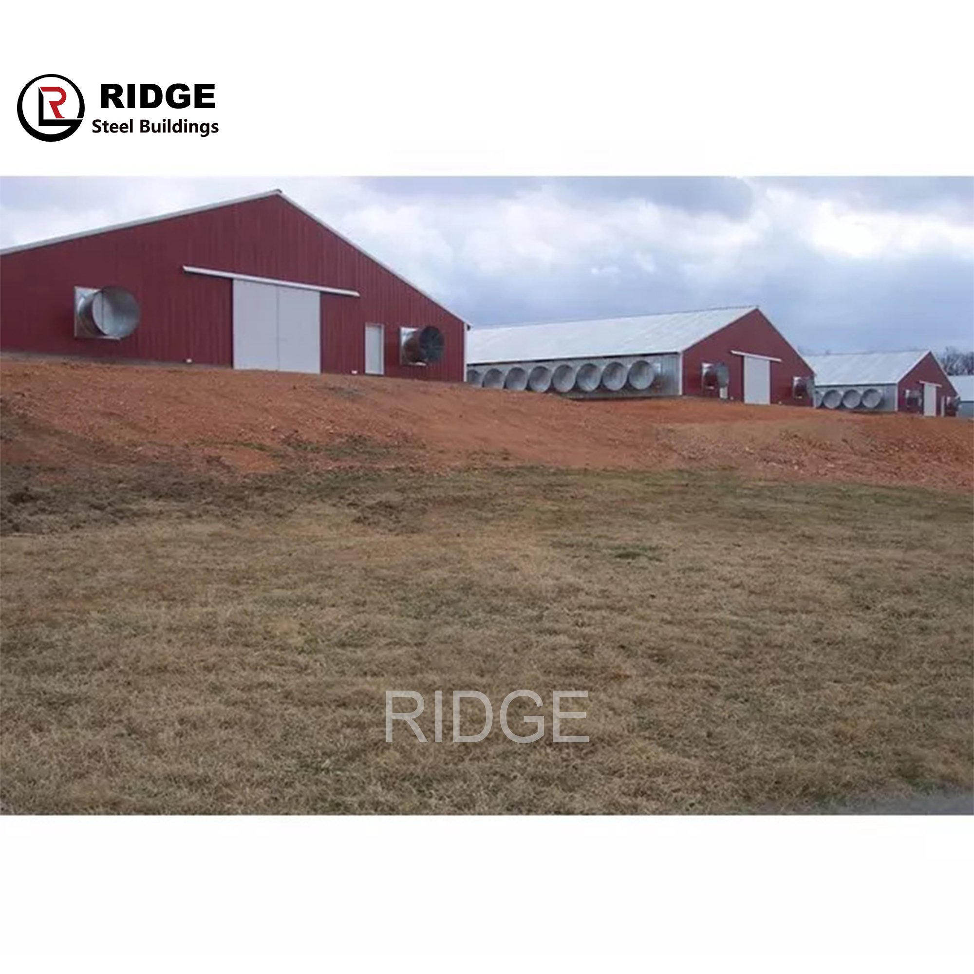 Modern Design Poultry Farm Building Prefabricated Houses Steel Structure Broiler Chicken Shed and House