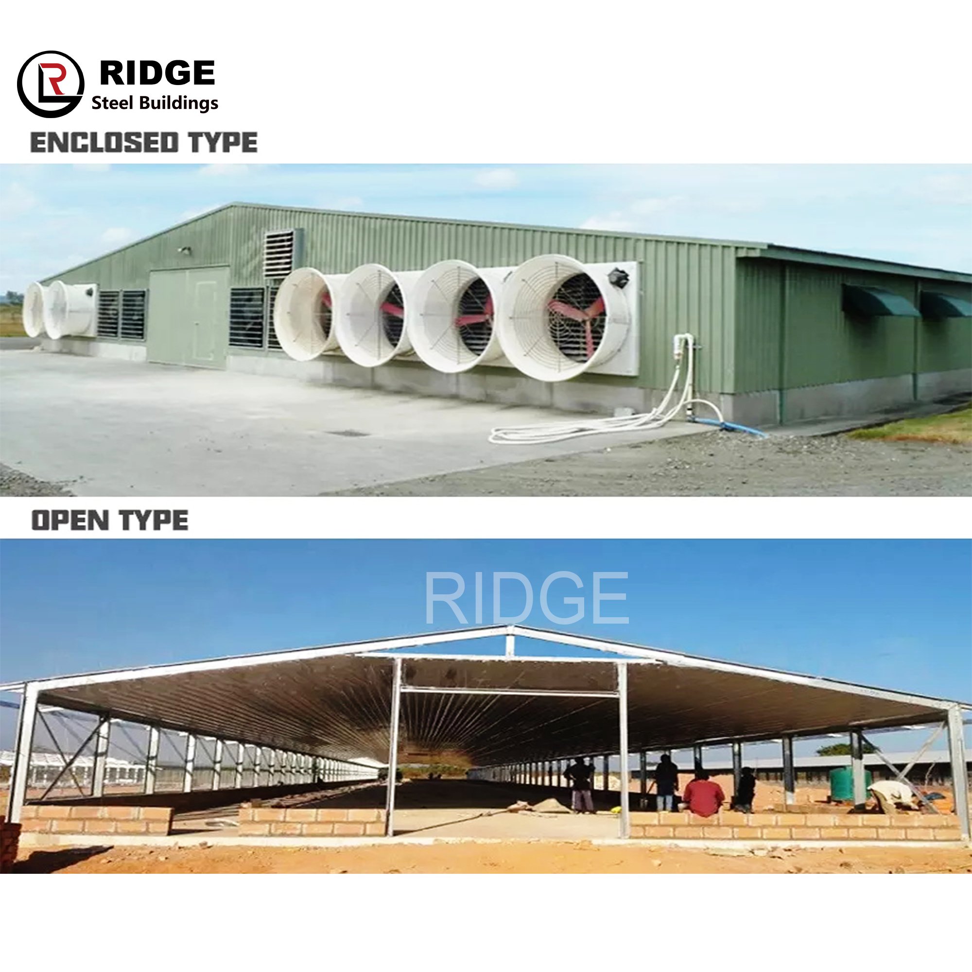 Modern Design Poultry Farm Building Prefabricated Houses Steel Structure Broiler Chicken Shed and House