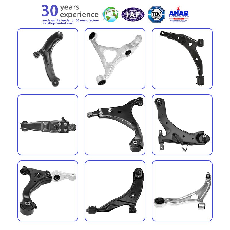 Auto Suspension Parts Premium Quality Control Arm for Hyundai