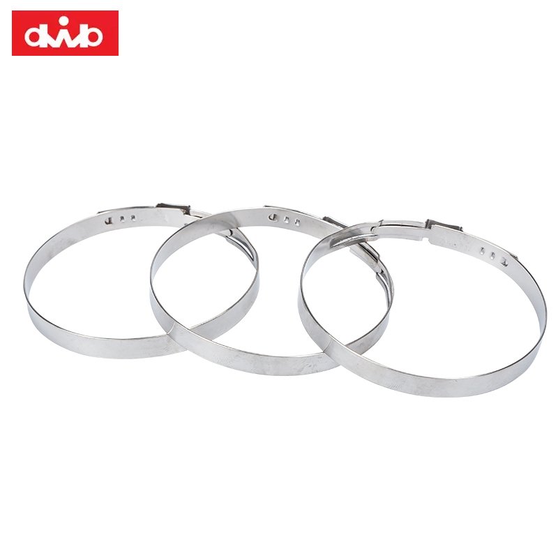 304 Stainless Steel CV Joint Boot Clamp for Automobile