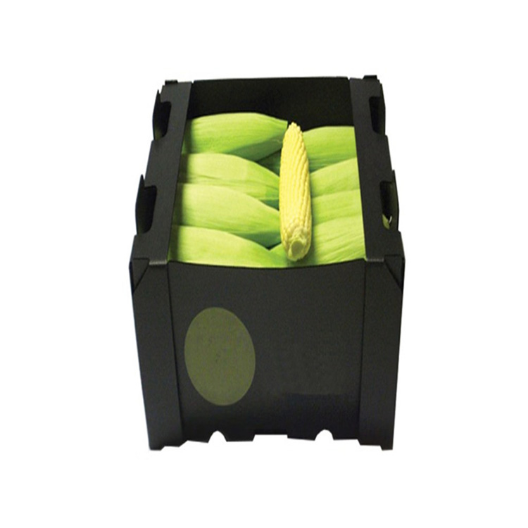 Fresh sweet corn PP Packing Corrugated Plastic Box
