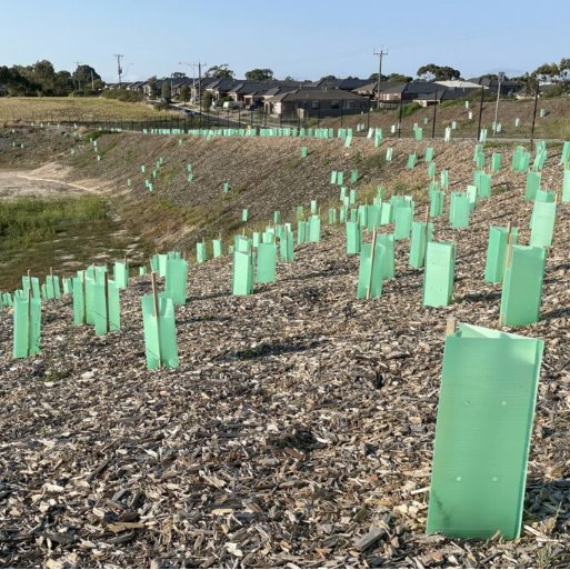 2024 PP corrugated Sapling Protect Board Tree Guard Plant Protector