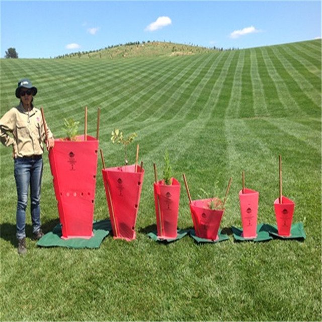 Ward Off Insect Pests And Bird Attacks Corrplast Plastic Vegetative Tree Protector PP Corrugated Seedling Protector Sheet
