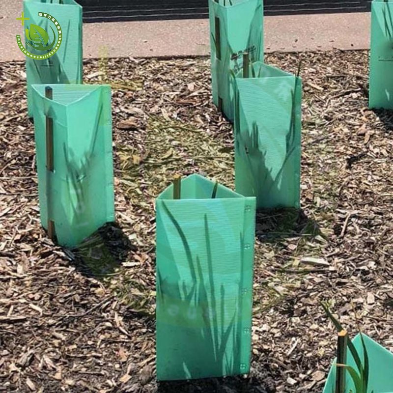 Ward Off Insect Pests And Bird Attacks Corrplast Plastic Vegetative Tree Protector PP Corrugated Seedling Protector Sheet