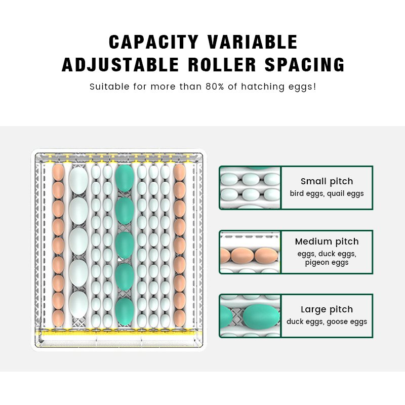 12/110/220V New PP Digital Mini Incubator Egg Hatching Machine for Farm and Household