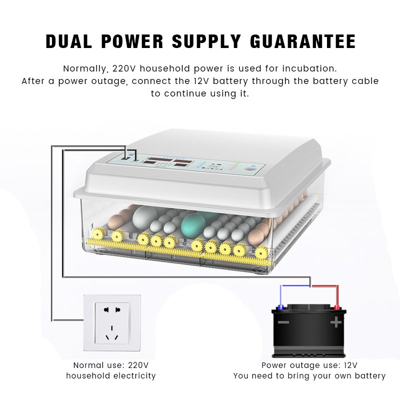 12/110/220V New PP Digital Mini Incubator Egg Hatching Machine for Farm and Household