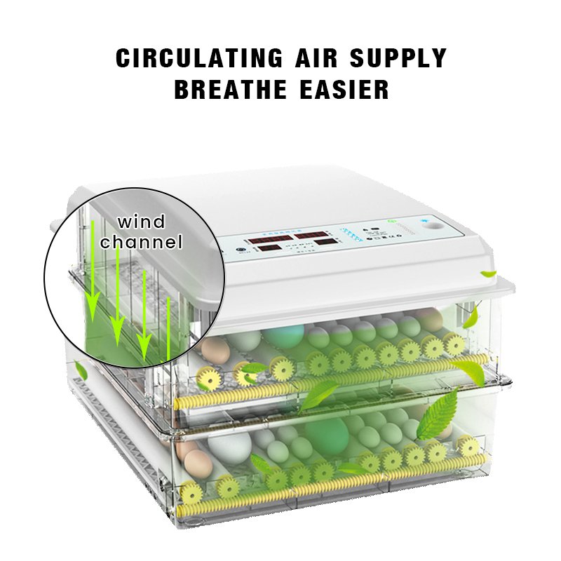 12/110/220V New PP Digital Mini Incubator Egg Hatching Machine for Farm and Household