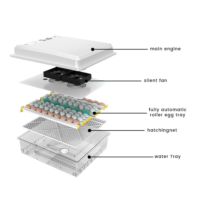 12/110/220V New PP Digital Mini Incubator Egg Hatching Machine for Farm and Household