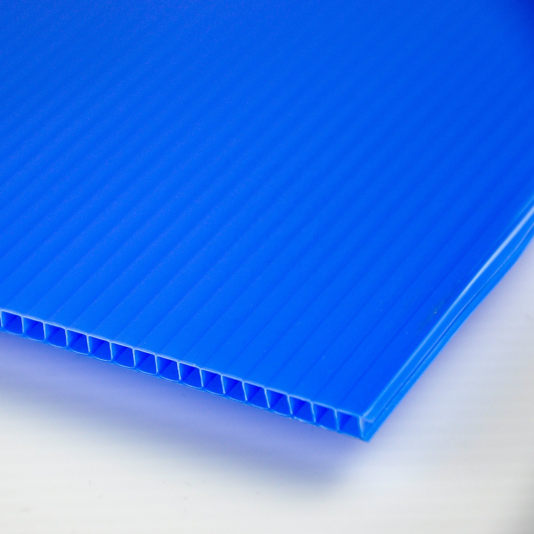 Wholesale polypropylene sheet 2mm 3mm 4mm PP sheet customized color pp plastic film for printing