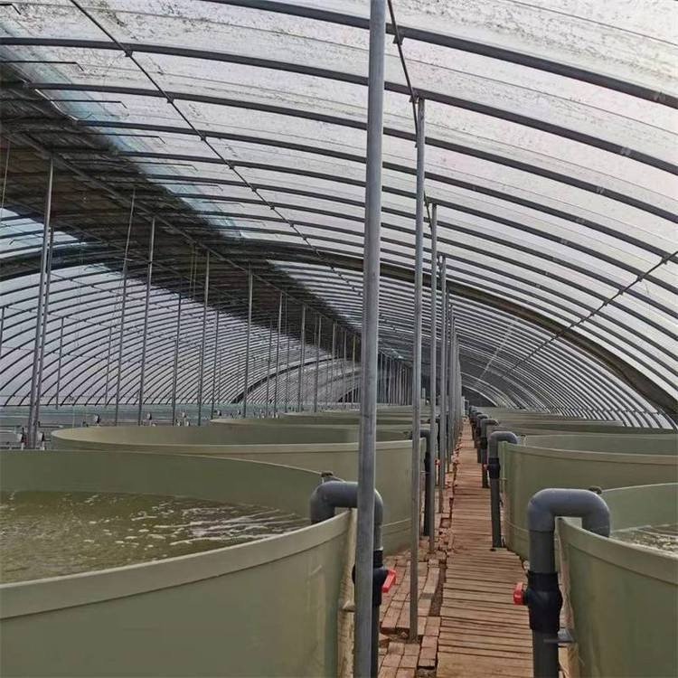 ZSPE Large Commercial PP Plastic Aquaculture Equipment Indoor Fish Farming Water Tanks