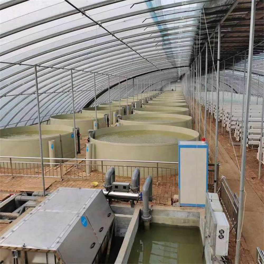 ZSPE Large Commercial PP Plastic Aquaculture Equipment Indoor Fish Farming Water Tanks