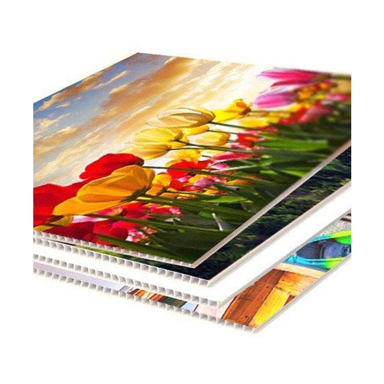 18"*24"Screen Printing waterproof factory directly selling 4mm White customization pp Sheets/yard sign