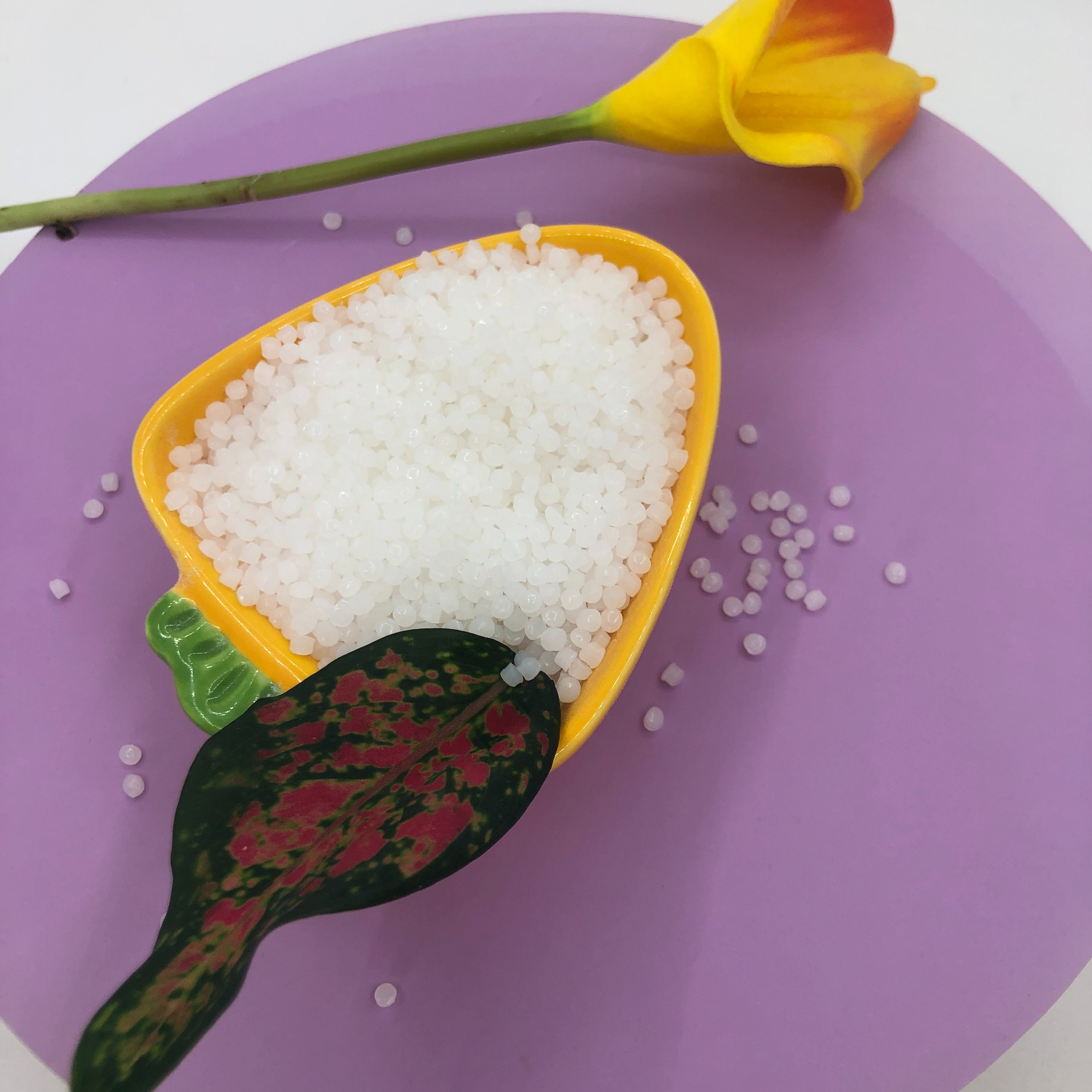 Supply Transparent Virgin/Recycled Granules Fabric Raw Material Price Polypropylene Resin PP T30s