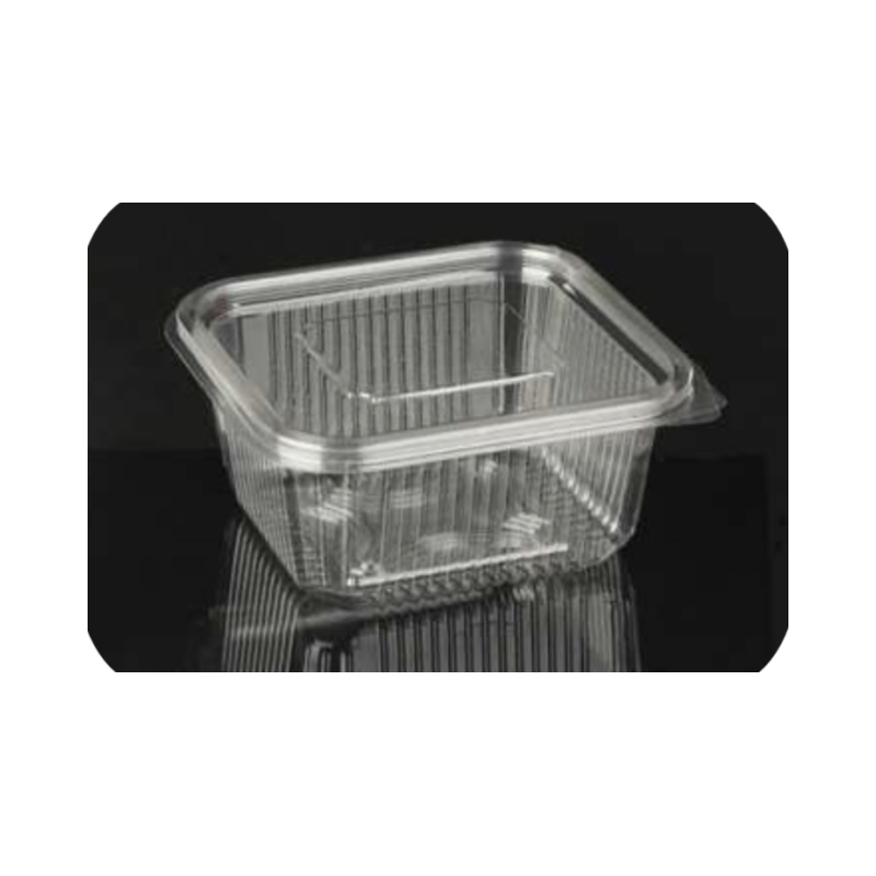 High Quality Portable Gold & Transparent PET PP RPET Plastic Boxes Food Grade & Thermoformed for Food Contact Packaging