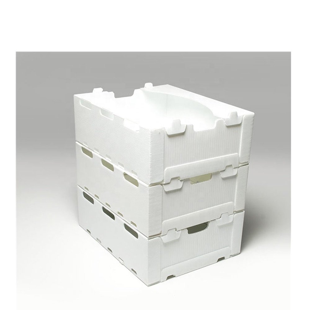 factory pp corrugated moving package box fresh vegetable fruit seafood