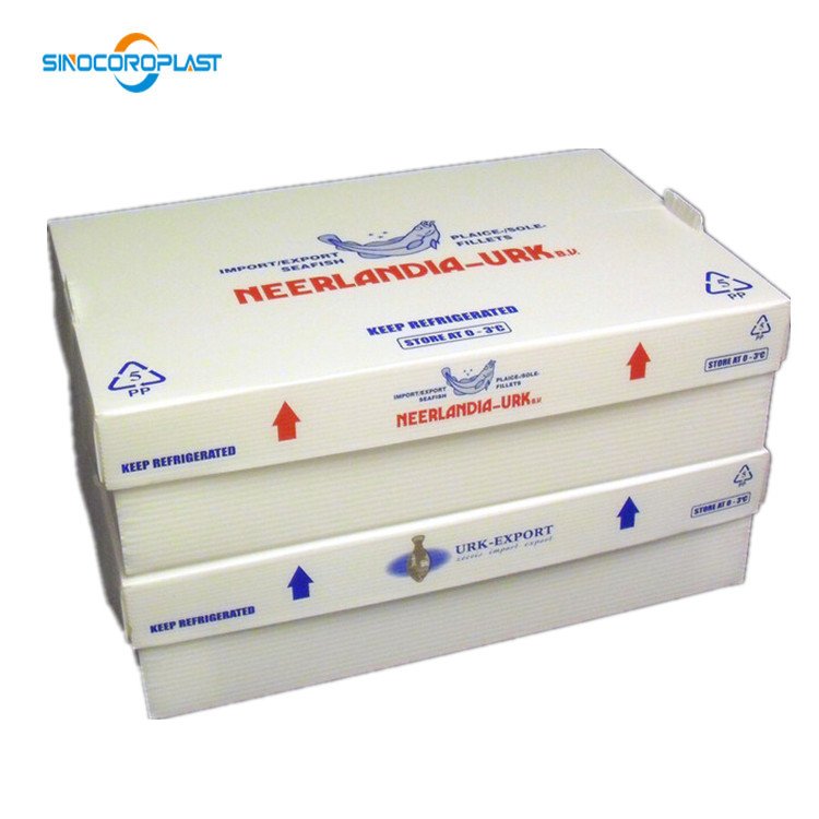 factory pp corrugated moving package box fresh vegetable fruit seafood