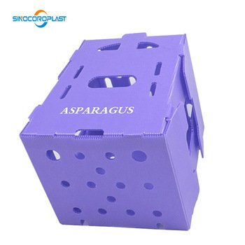 factory pp corrugated moving package box fresh vegetable fruit seafood