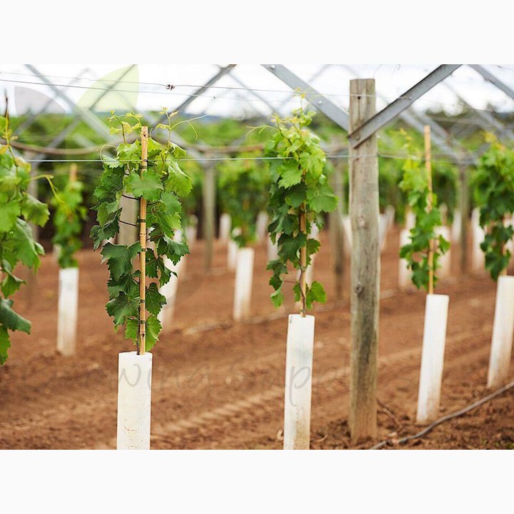 Offer Sample 2mm 3mm Pp Plastic Tube Guards For Protecting Plants Tree Guard