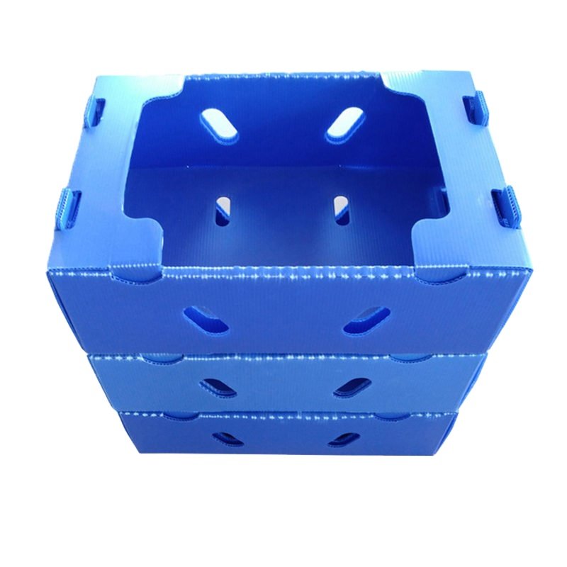Waterproof Eco Friendly Polypropylene Material PP Plastic Corrugated Sheet Board PP Hollow Board For Packing