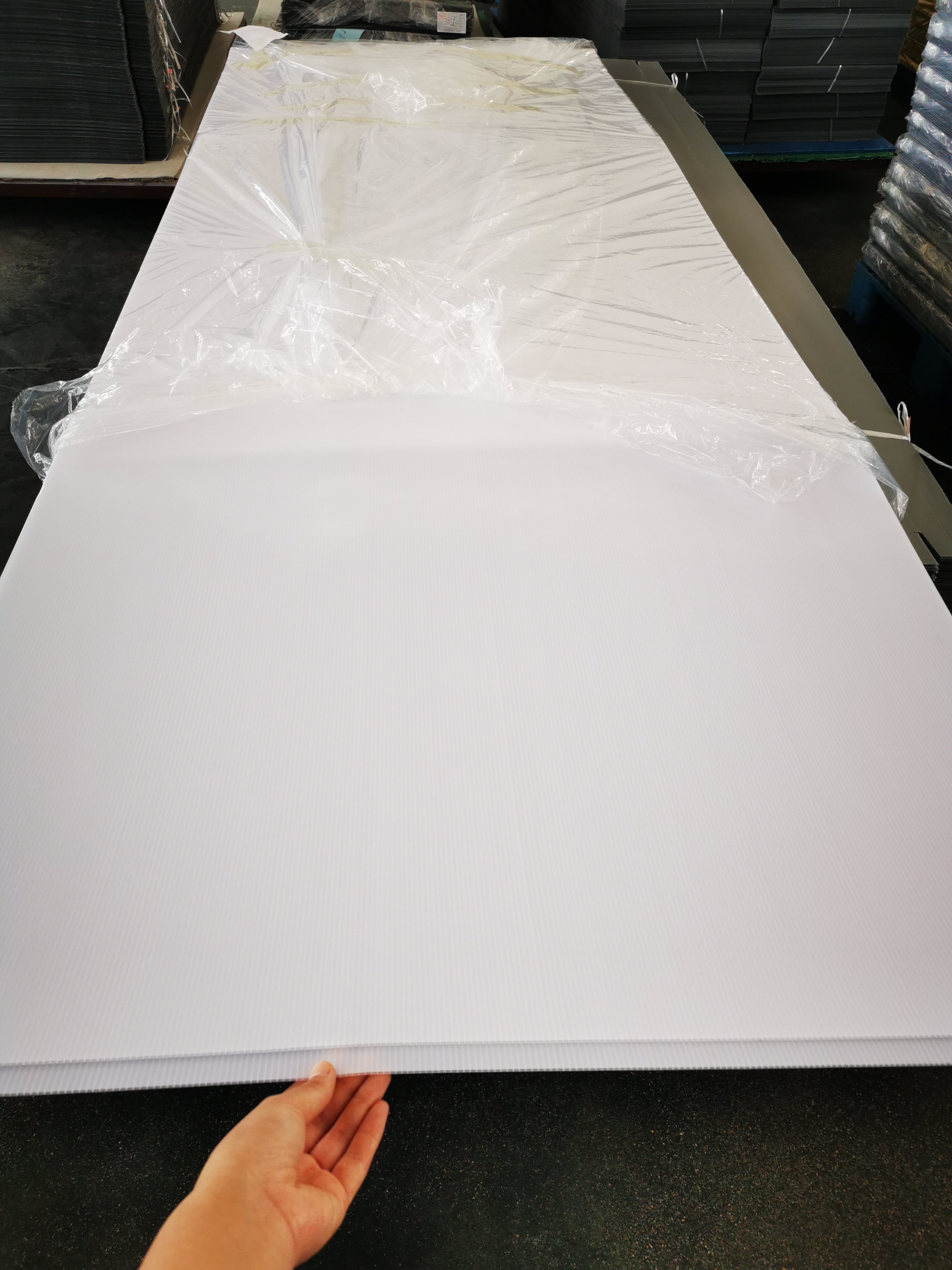 PP corflute board custom size 3mm 4mm 5mm 6mm