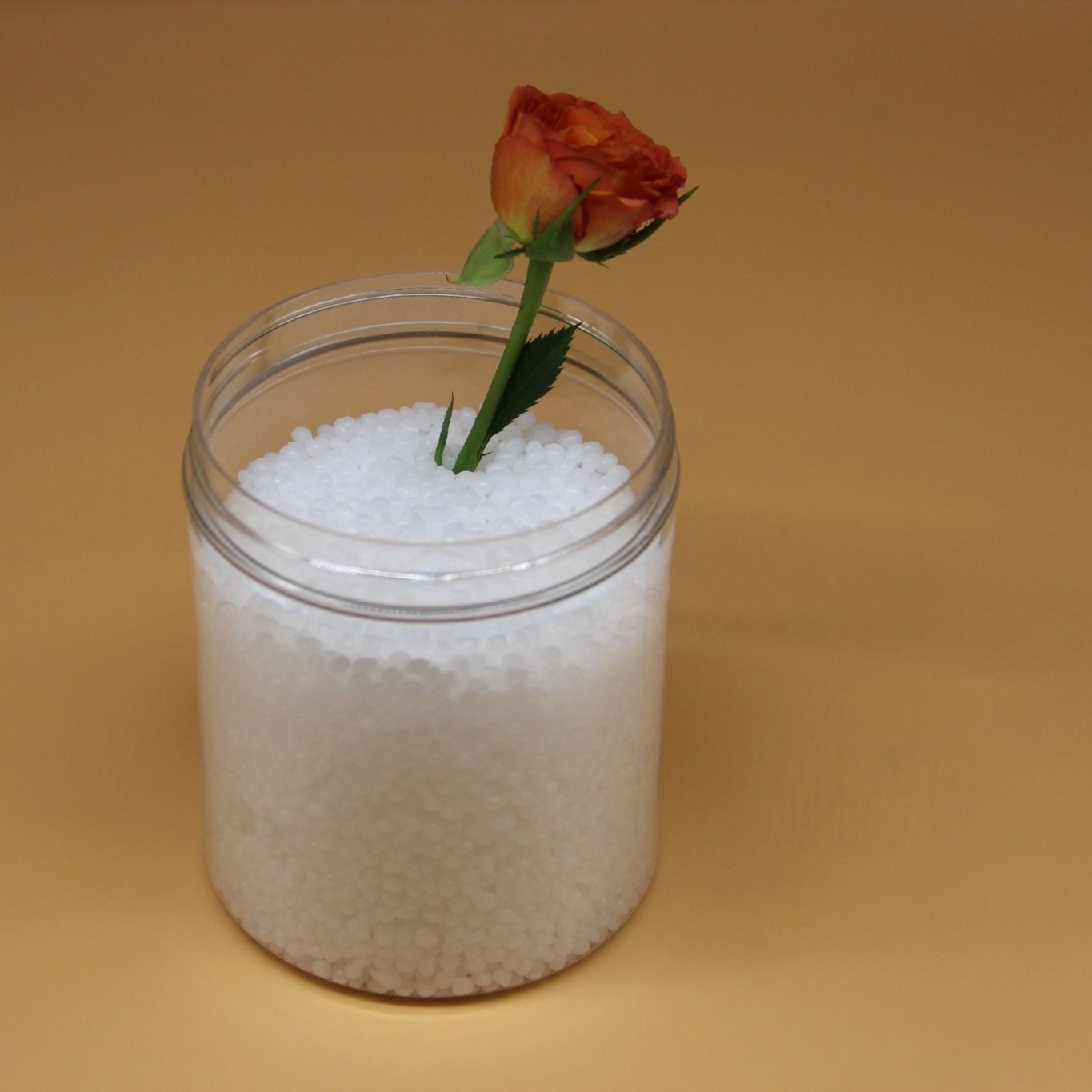 Virgin or Recycled HDPE Polypropylene Resin Virgin Modified PP Material Pp Polypropylene Pp price