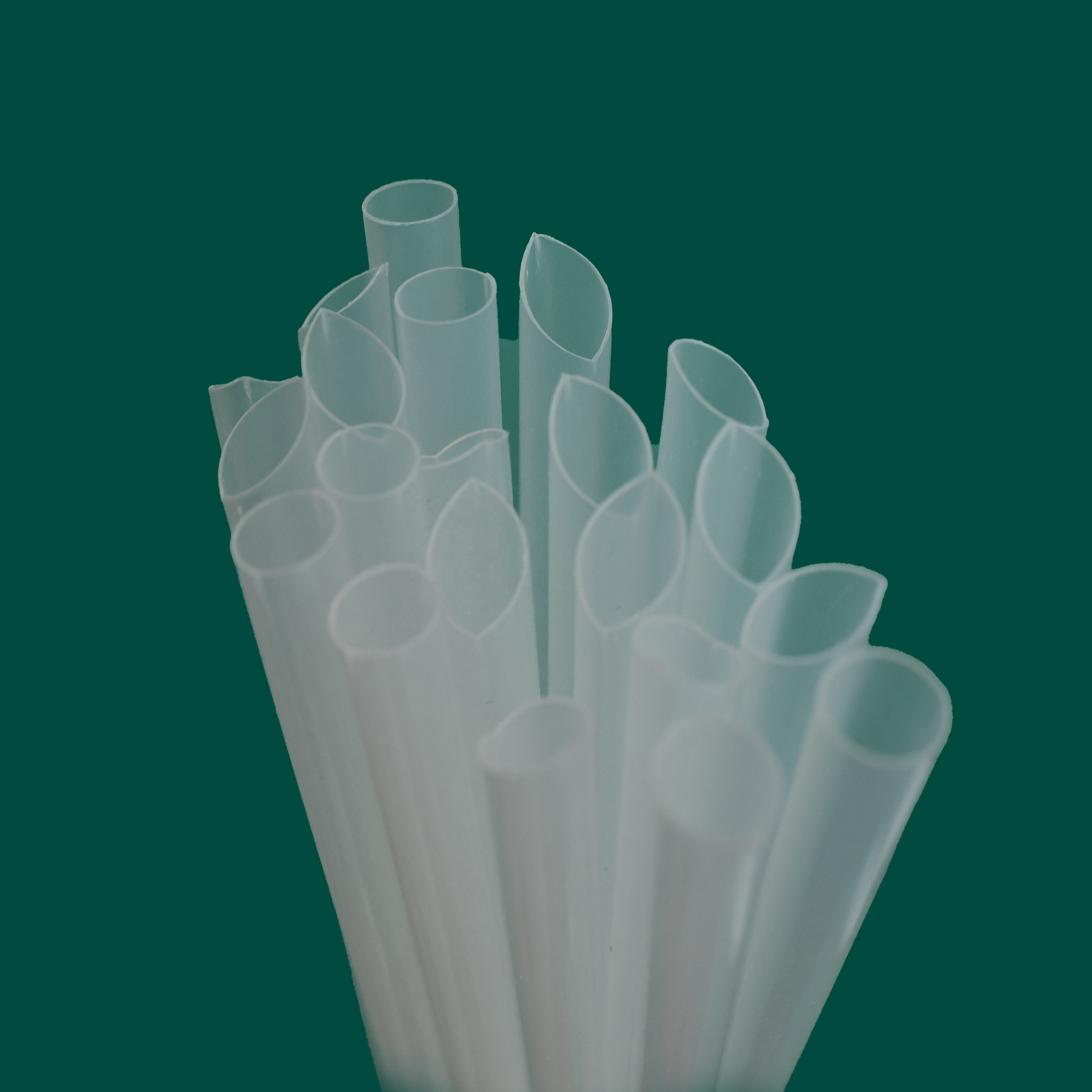 Trade Assurance Pp Polypropylene Plastic Raw Material Polypropylene Pp
