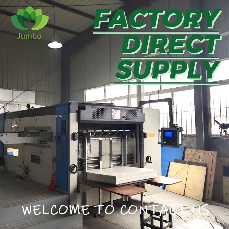 Hot Selling Polypropylene Solid Sheet Hollow Sheet Corrugated PP Sheet