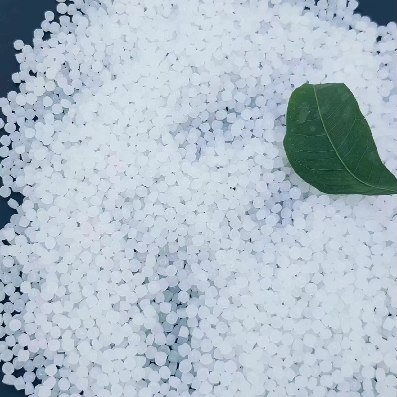Manufacturer Supply Virgin/Recycled Resin PP T30s White Granules Modified Ethylene Polypropylene PP for Plastic Product