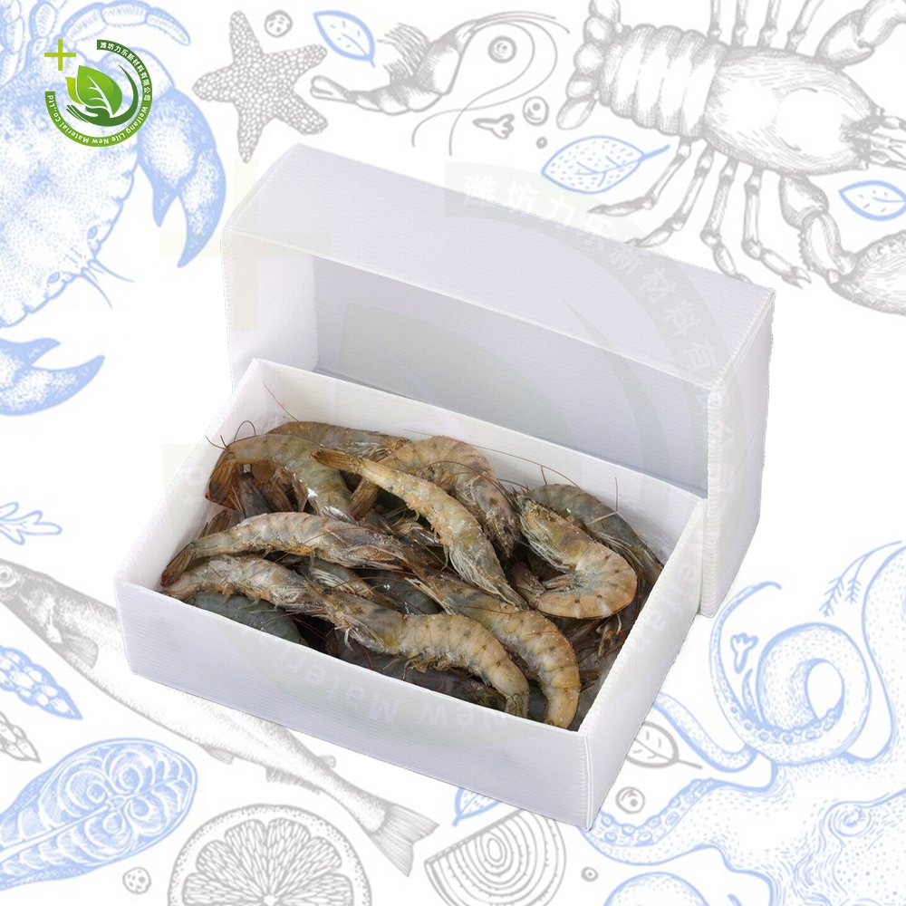 PP Corrugated Frozen Fish Crate Plastic Corflute Shrimp Storage Packing Folding Waterproof pp seafood packaging box