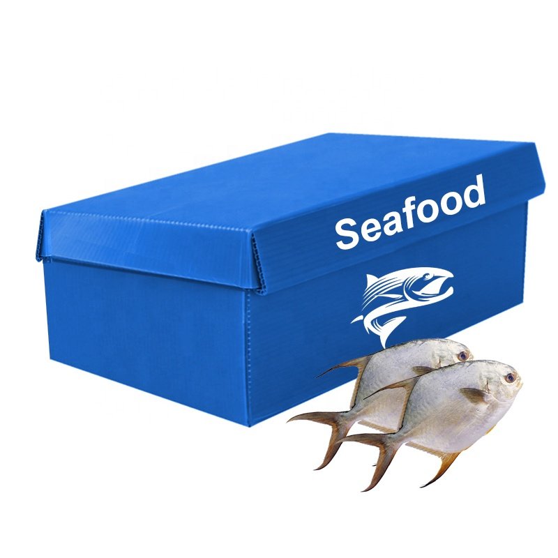 PP Corrugated Frozen Fish Crate Plastic Corflute Shrimp Storage Packing Folding Waterproof pp seafood packaging box