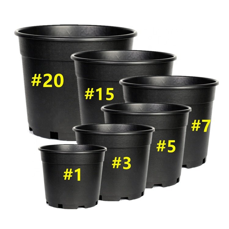 Wholesale 1 3 5 7 10 15 20 Gallon Blow Molding PP PE Planter Black Plastic Plant Nursery Pots