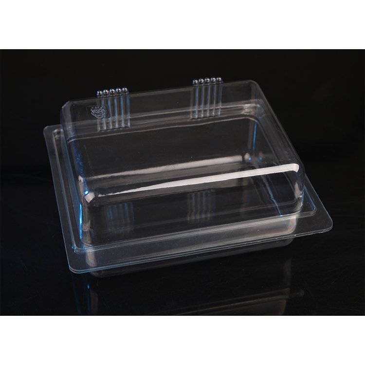 Automatic New Plastic Tray Plate Food Container Forming Making Machine Vacuum Thermoforming Machine