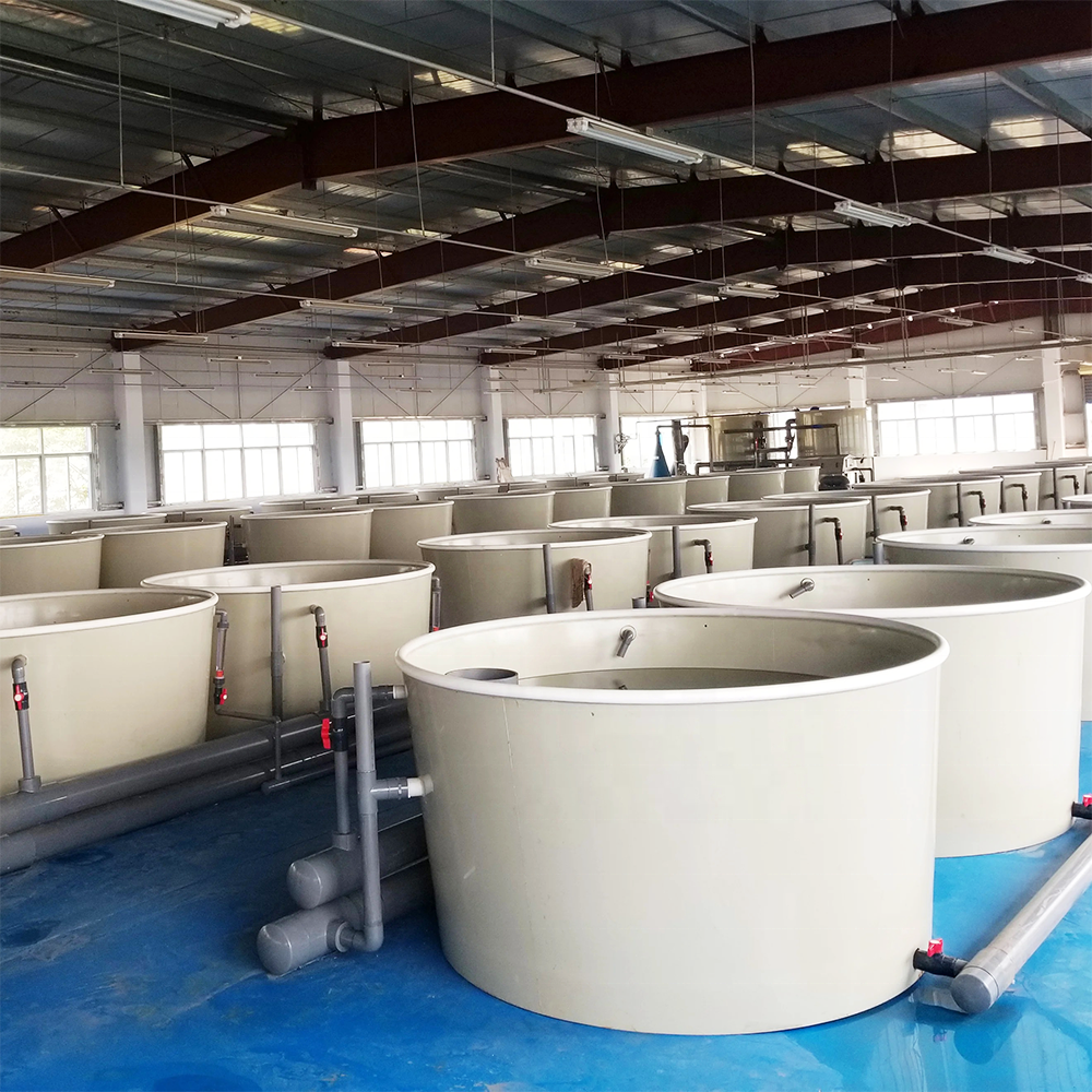 ZSPE Indoor Recirculating Aquaculture System Equipment PP Plastic Fish Farming Tank