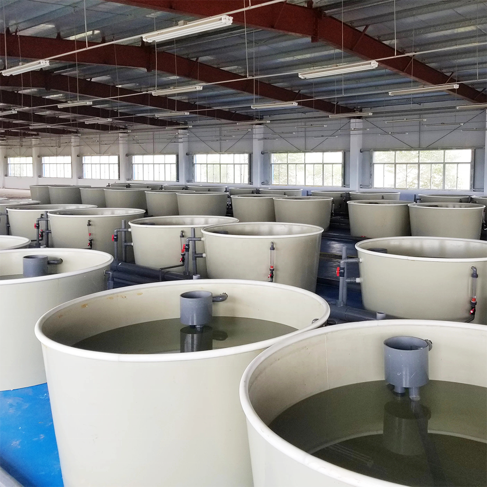 ZSPE Indoor Recirculating Aquaculture System Equipment PP Plastic Fish Farming Tank