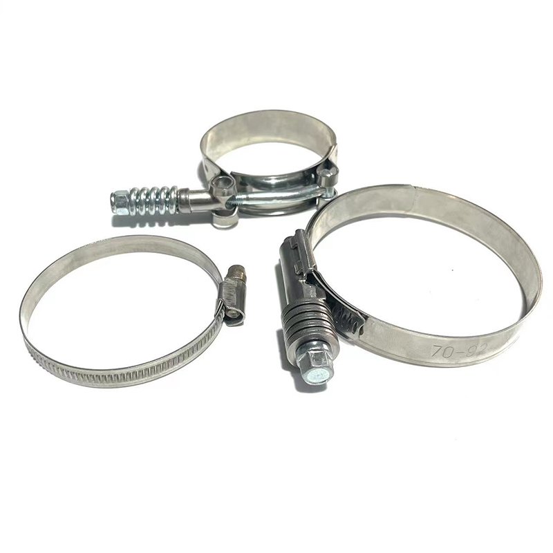 Titaniumclamps for Tubesamerican Type Hose Clampmetal Hose Clampamerican Type Hose Clamphoop Clamphose Clamps