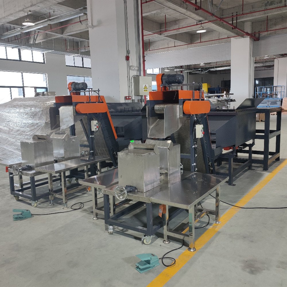 Focus Machinery 125mm Semi-Auto Screw Packaging Machine with Magnetic Aligner for Long Nails Screws in Carton