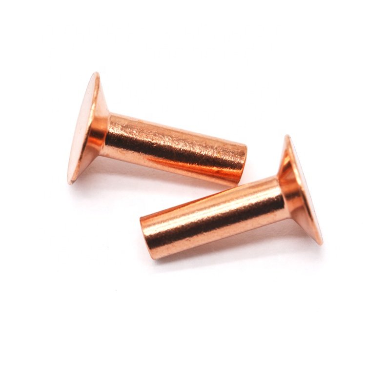 Customized Bimetal Round Flat Head Rivets Auto Fastener with DIN Standard Available in Copper and Brass Material