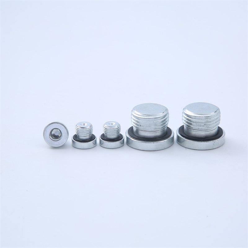 High Quality Stainless Steel Oil Pipe Plug Screws Internal Hexagonal Port Ed Oil Plugs