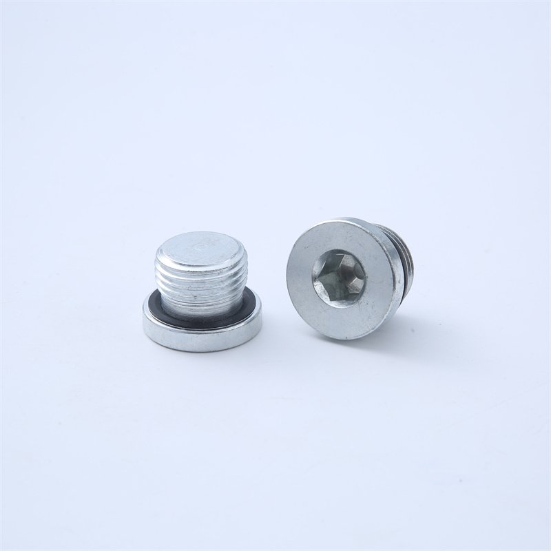 High Quality Stainless Steel Oil Pipe Plug Screws Internal Hexagonal Port Ed Oil Plugs