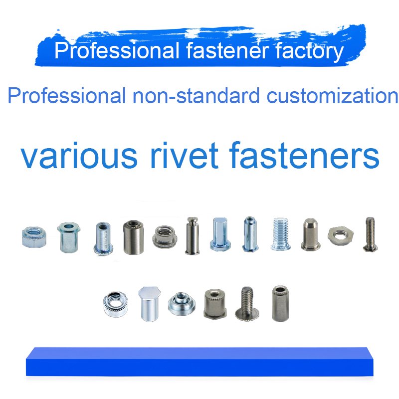 Fi fastener fastening metal clip fasteners wholesale stainless steel rivets manufacturers clips automotive