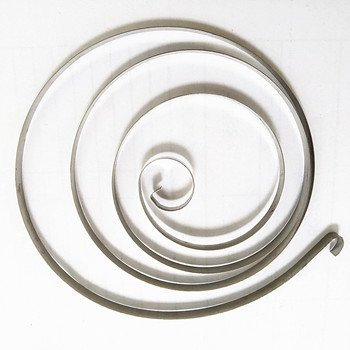 Chentai OEM Stainless Steel Coil Volute Flat Clockwork SpringsCoil Volute Spiral Spring
flat Clockwork