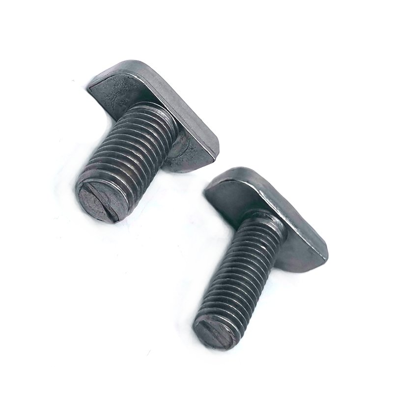 Factory Provides Best Quality OEM Fasteners 304 Stainless Steel M8 T Head Bolt