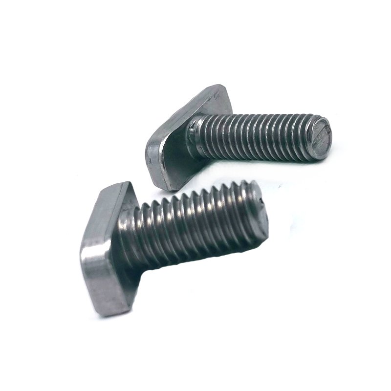 Factory Provides Best Quality OEM Fasteners 304 Stainless Steel M8 T Head Bolt